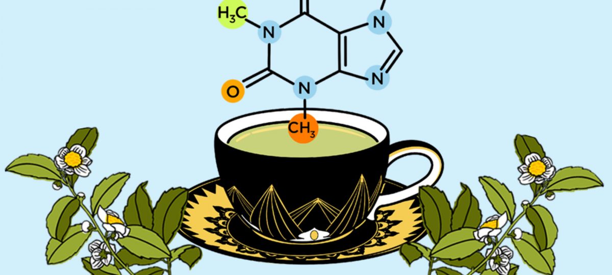 Does Chanca Piedra Tea Have Caffeine?