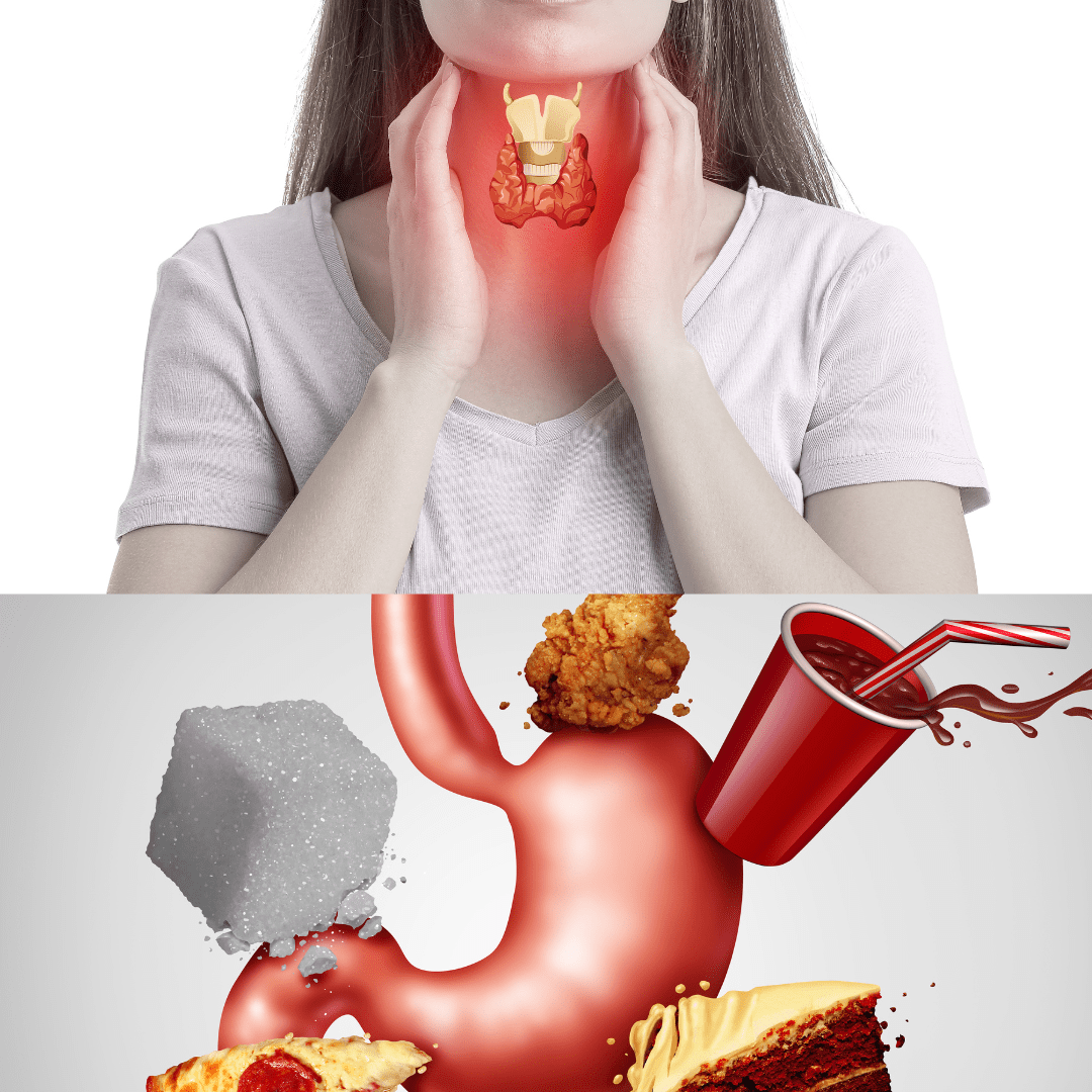 The Correlation Between Gut Health & Thyroid (Healthy TSH Levels) That Can’t Be Ignored